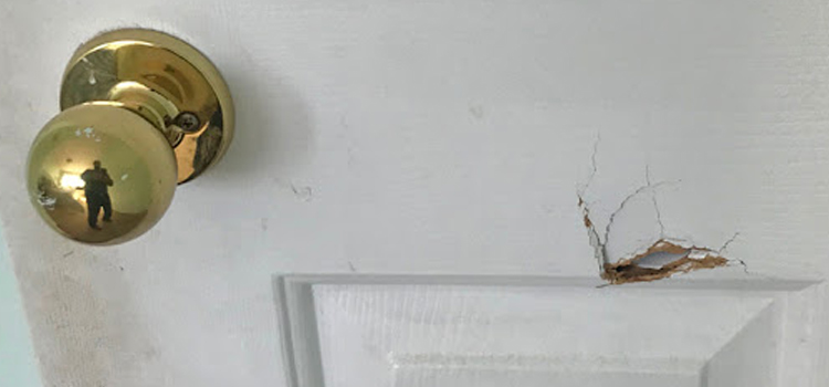 interior door hole repair Maywood