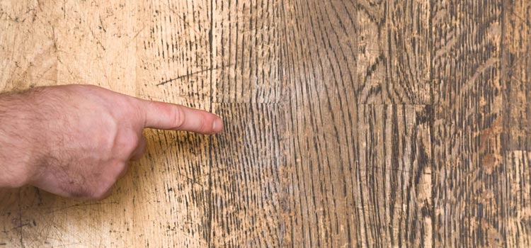 Wood Door Scratch Repair in Maywood
